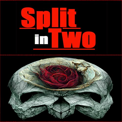 Cover of Split in Two