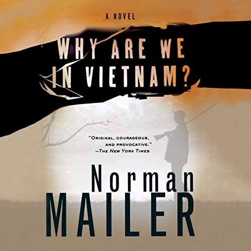 Cover of Why Are We in Vietnam?