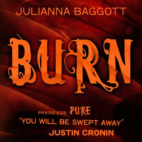 Cover of Burn