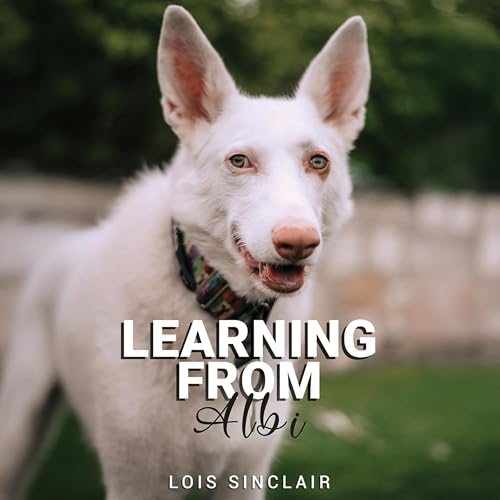 Cover of Learning from Albi