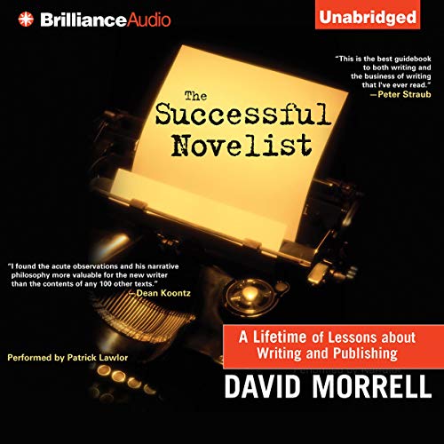 Cover of The Successful Novelist