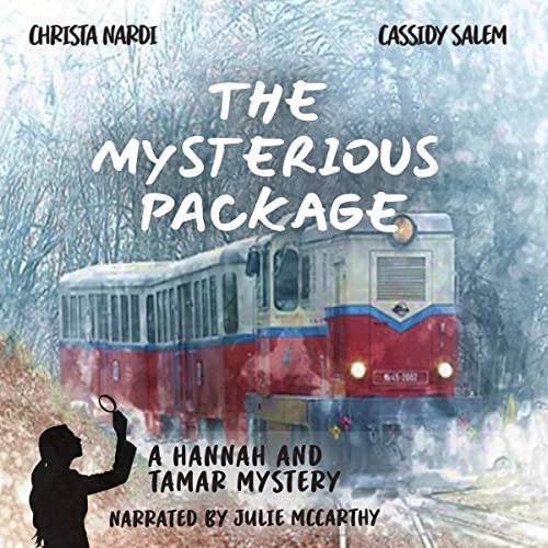 Cover of The Mysterious Package