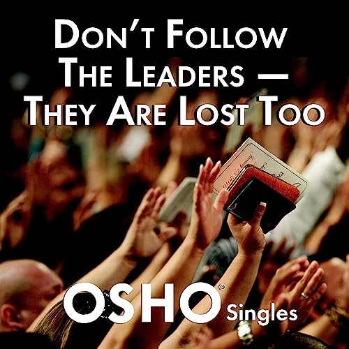 Cover of Don't Follow the Leaders–They Are Lost Too