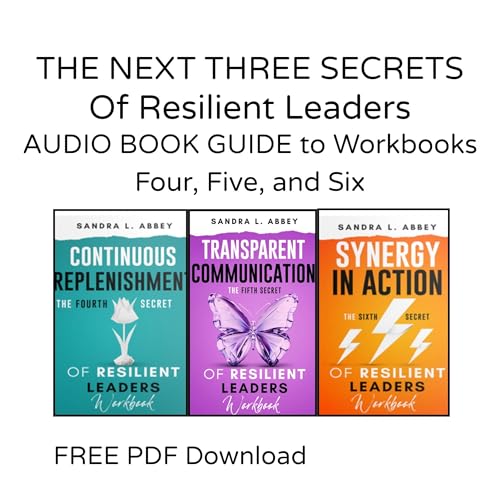Cover of The Next Three Secrets of Resilient Leaders