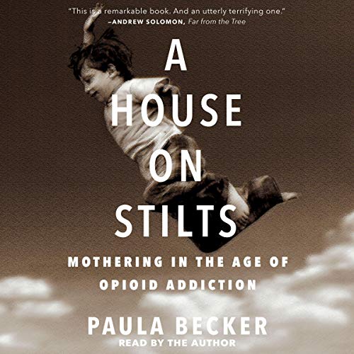 Cover of A House on Stilts