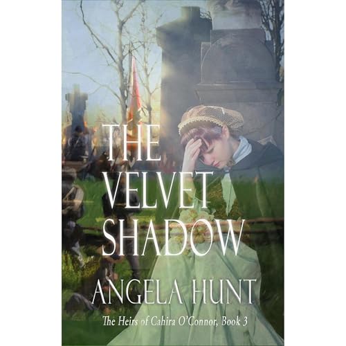 Cover of The Velvet Shadow