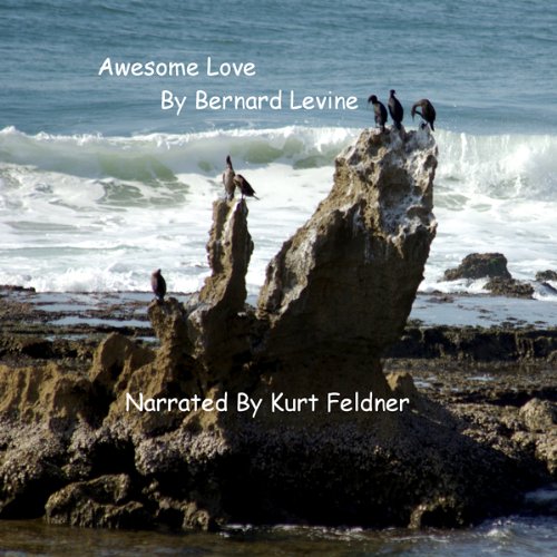 Cover of Awesome Love