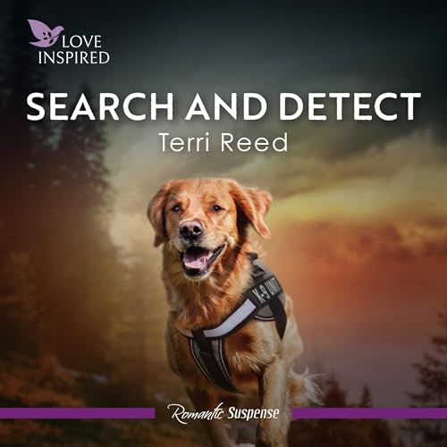 Cover of Search And Detect