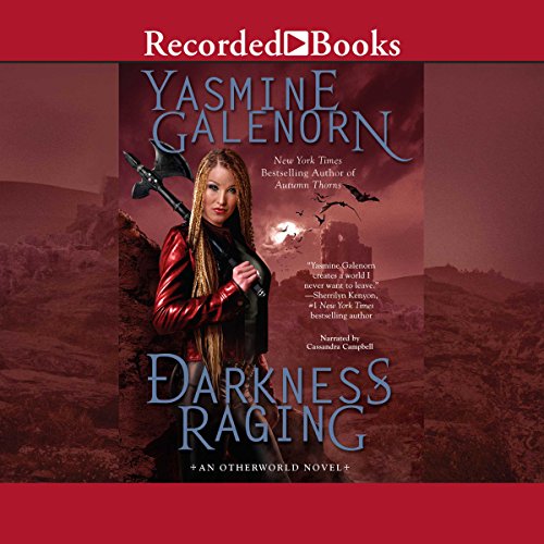 Cover of Darkness Raging