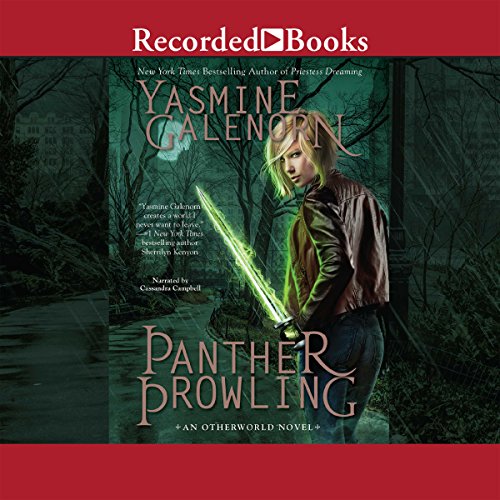 Cover of Panther Prowling