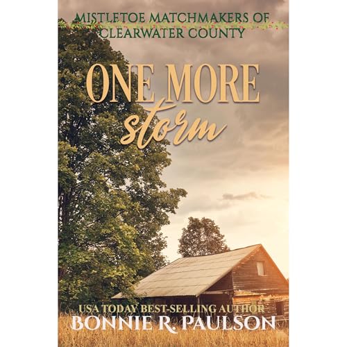 Cover of One More Storm