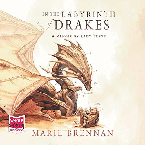 Cover of In the Labyrinth of Drakes
