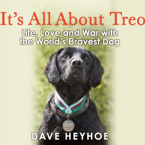 Cover of It's All About Treo