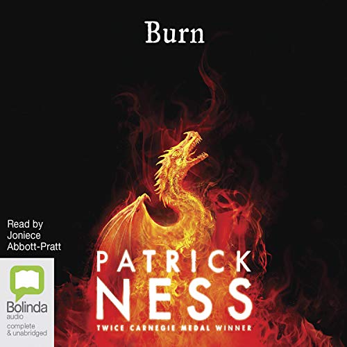 Cover of Burn
