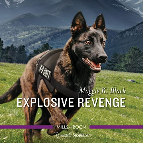 Cover of Explosive Revenge