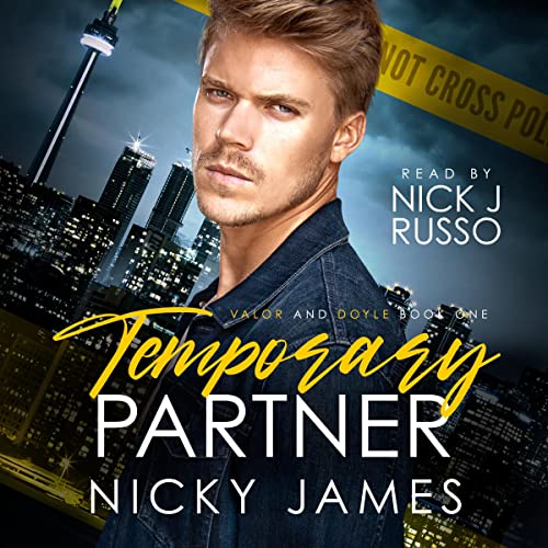 Cover of Temporary Partner