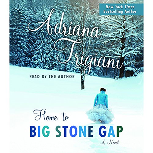 Cover of Big Stone Gap