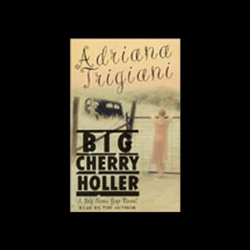 Cover of Big Cherry Holler