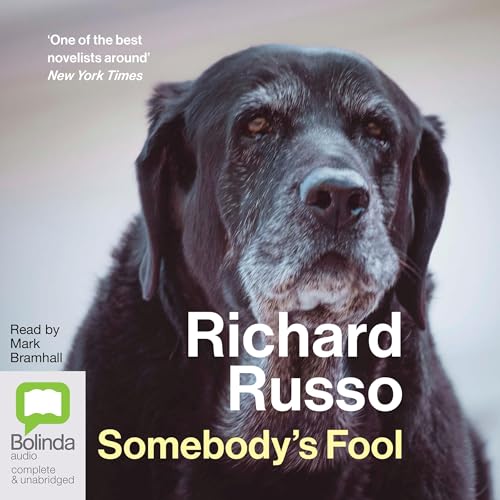 Cover of Somebody's Fool
