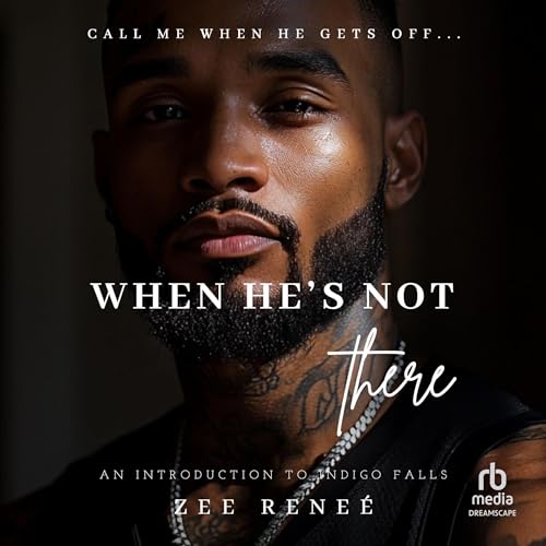 Cover of When He's Not There