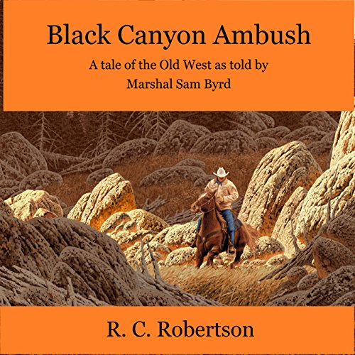 Cover of Black Canyon Ambush