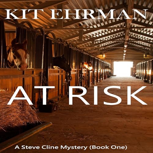 Cover of At Risk