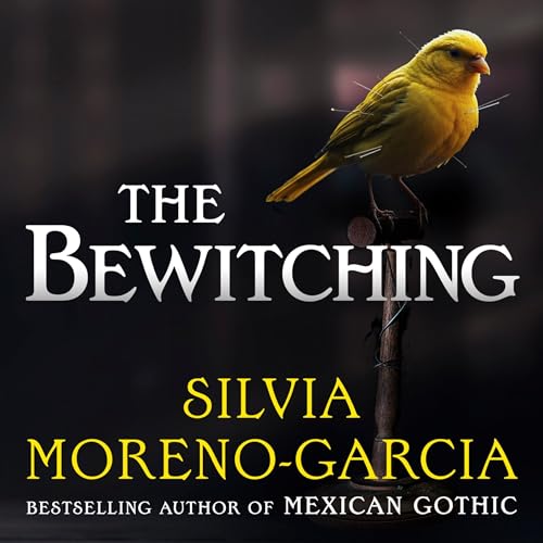 Cover of The Bewitching