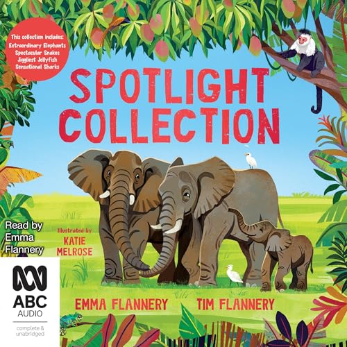 Cover of Spotlight Collection