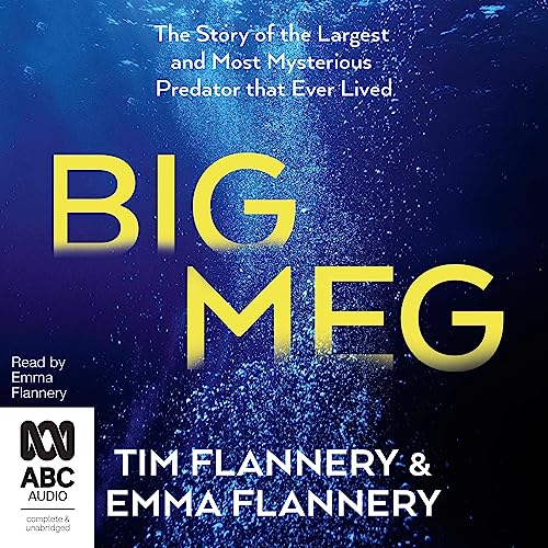 Cover of Big Meg