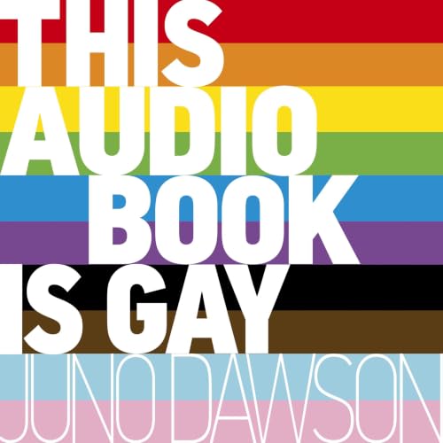 Cover of This Audiobook is Gay