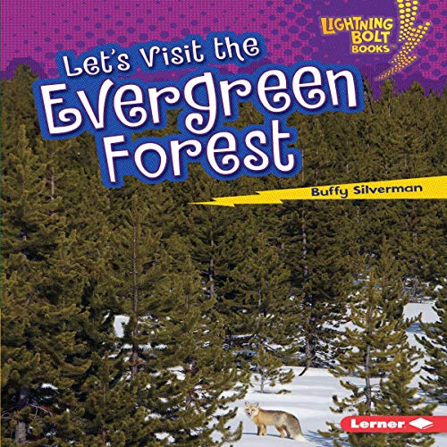 Cover of Let's Visit the Evergreen Forest