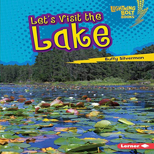 Cover of Let's Visit the Lake