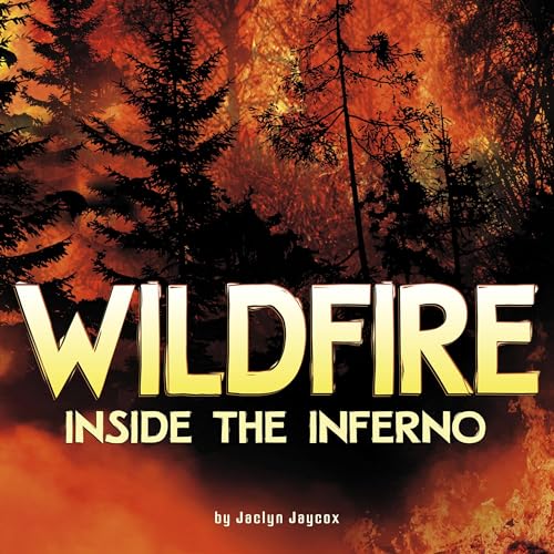 Cover of Wildfire