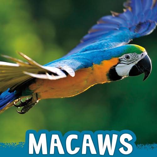 Cover of Macaws