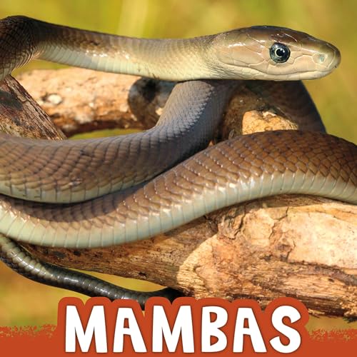 Cover of Mambas