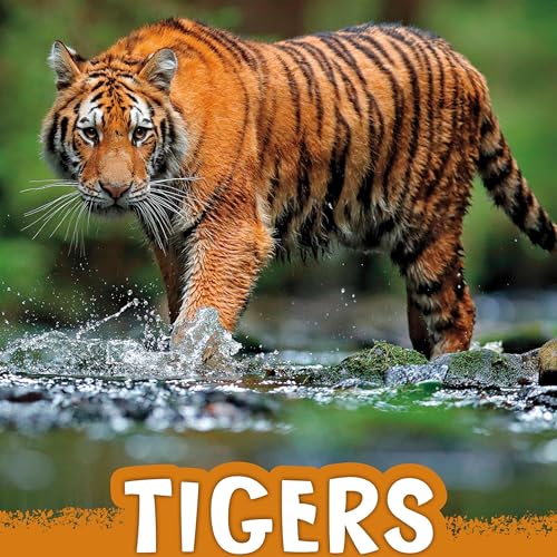 Cover of Tigers