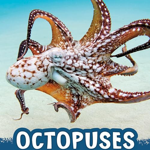 Cover of Octopuses