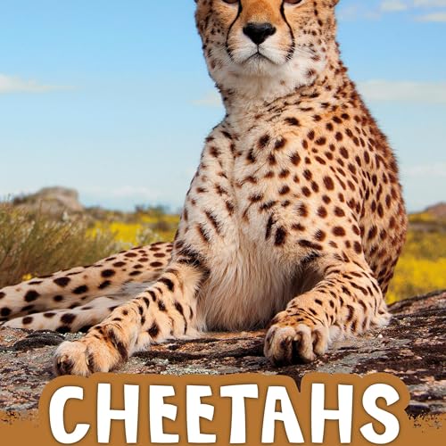 Cover of Cheetahs