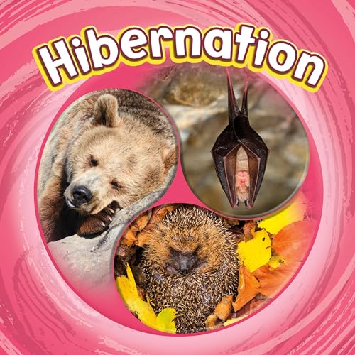 Cover of Hibernation