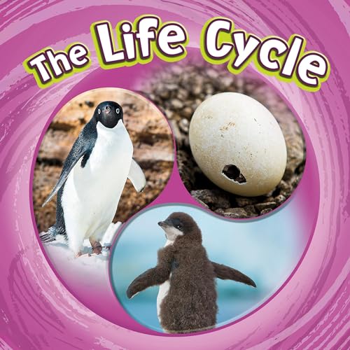 Cover of The Life Cycle