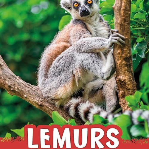 Cover of Lemurs