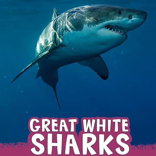 Cover of Great White Sharks