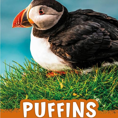 Cover of Puffins