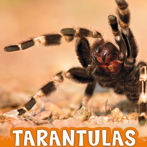Cover of Tarantulas