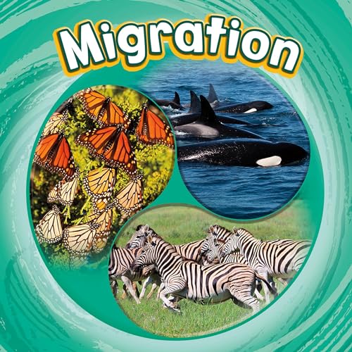 Cover of Migration