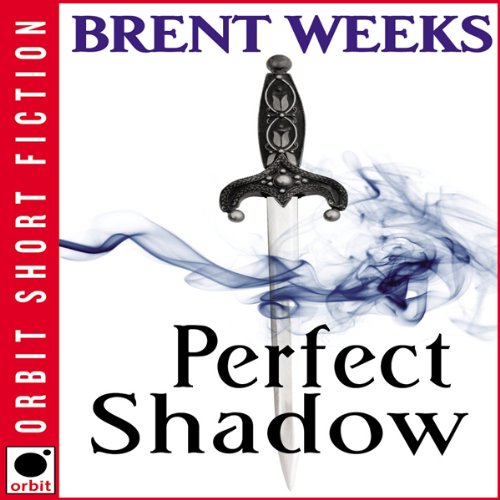 Cover of Perfect Shadow