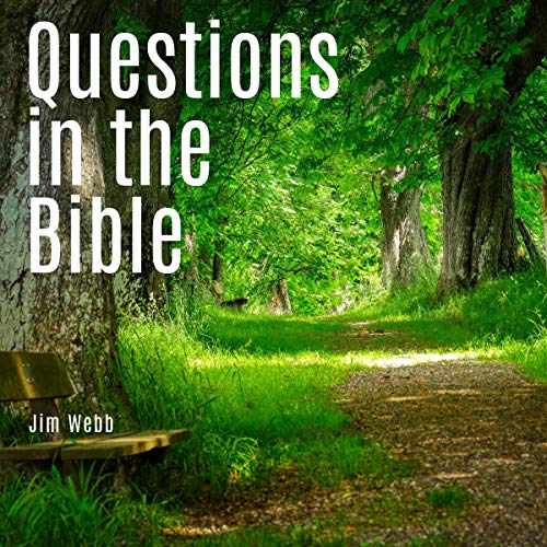 Cover of Questions in the Bible