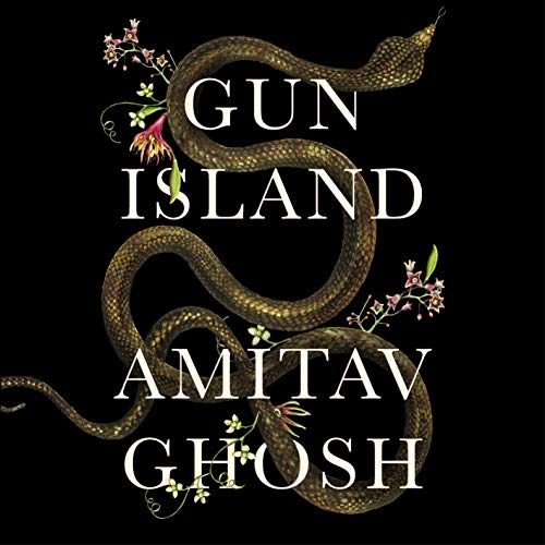 Cover of Gun Island