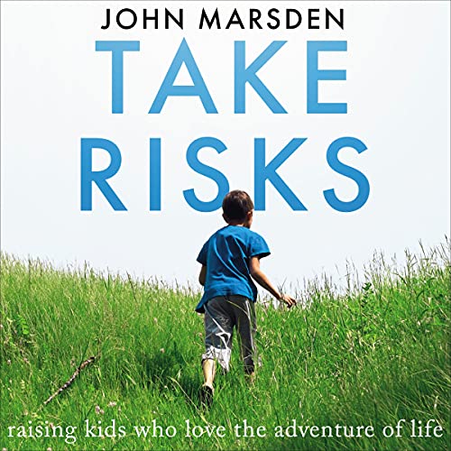 Cover of Take Risks