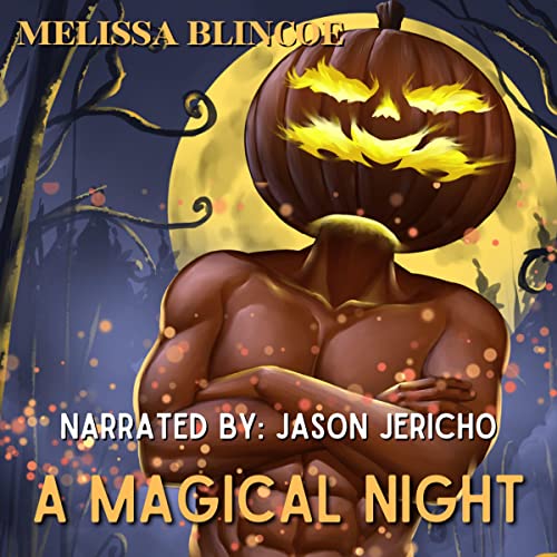 Cover of A Magical Night